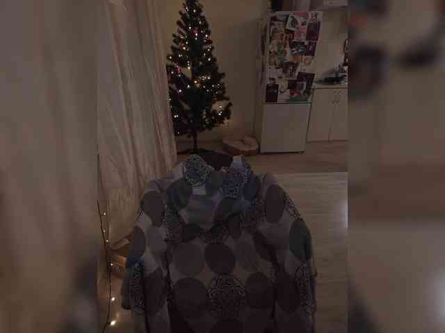 VanillaExplode webcam