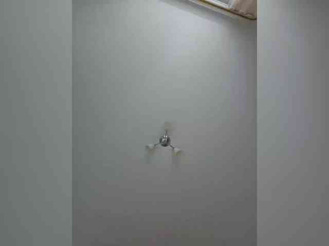 VanillaExplode webcam