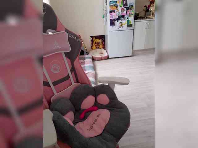 VanillaExplode webcam