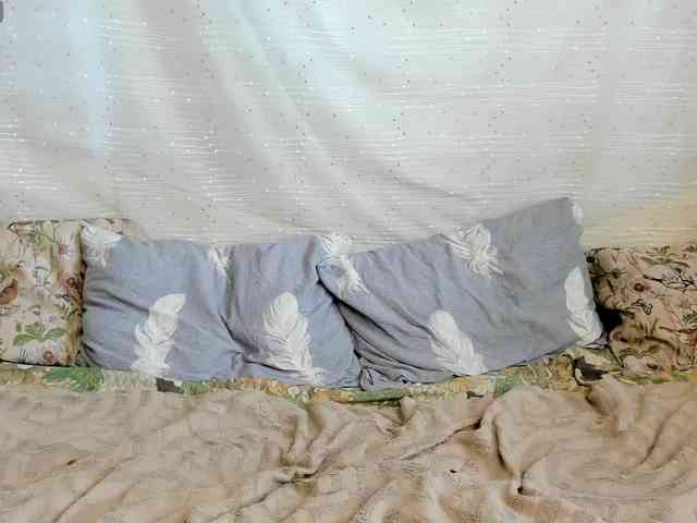 bonniewoods23 webcam