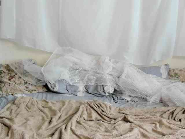 cam free chat Bonniewoods