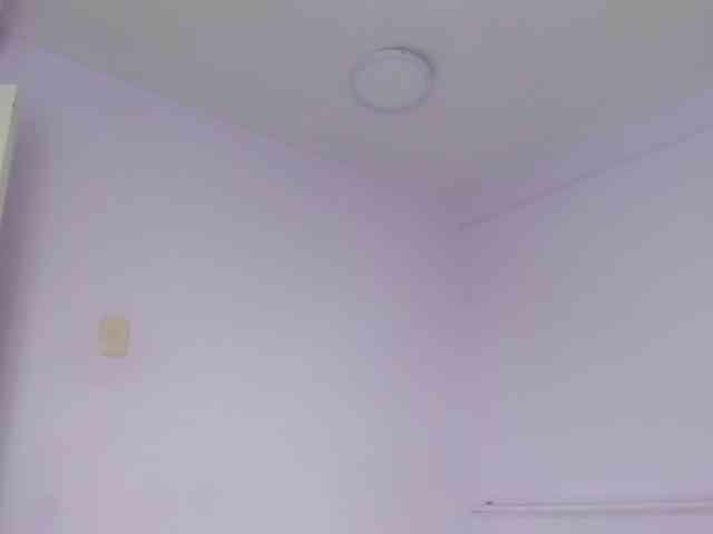 kattialov webcam