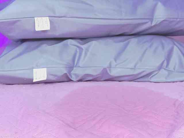 violetta-london webcam