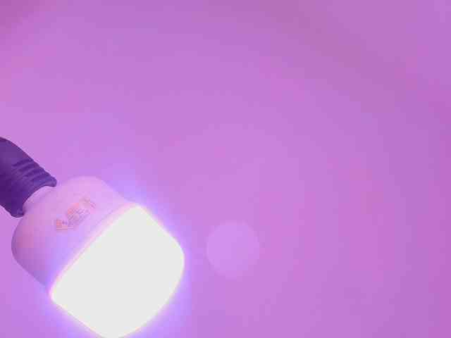 violetta-london webcam