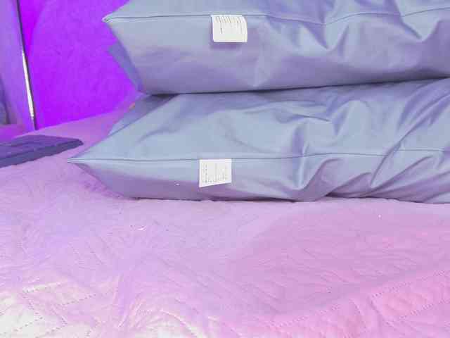 violetta-london webcam