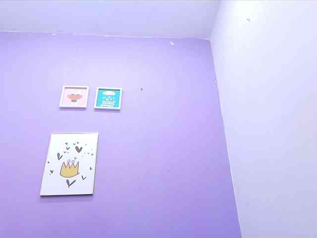 tinkerbell- webcam