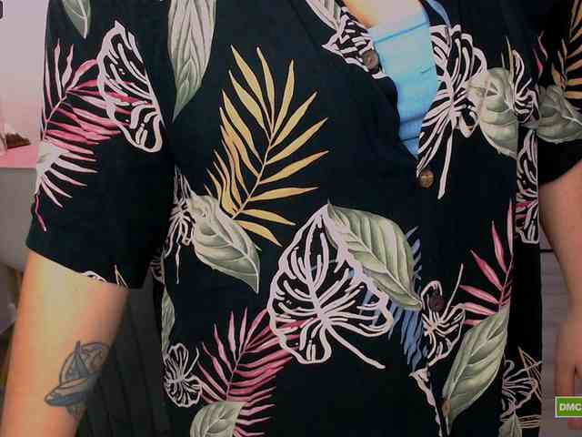 dreamteamgirls webcam