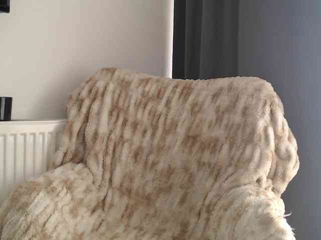 ElizabethAC webcam