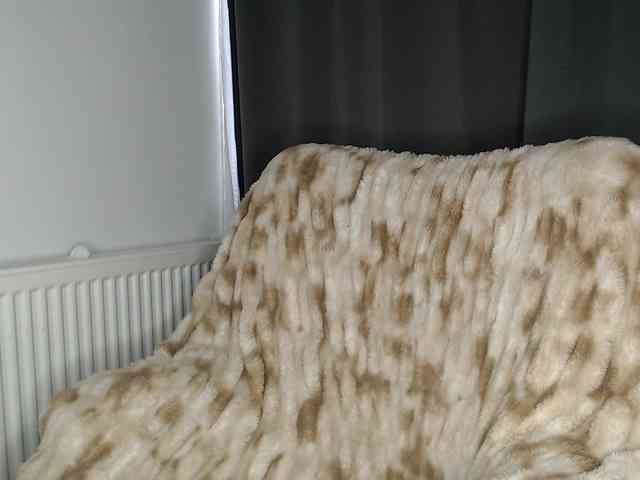 ElizabethAC ElizabethAC