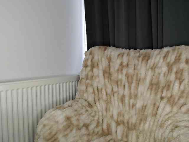 ElizabethAC ElizabethAC