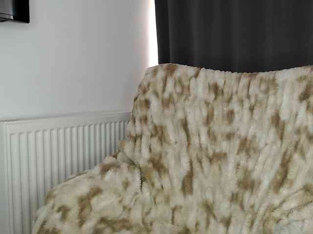 ElizabethAC ElizabethAC