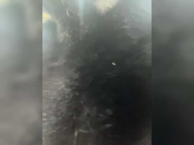 -SexyMilf-'s BongaCams show and profile