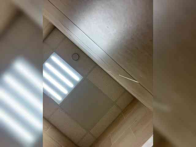 MirandaNow webcam
