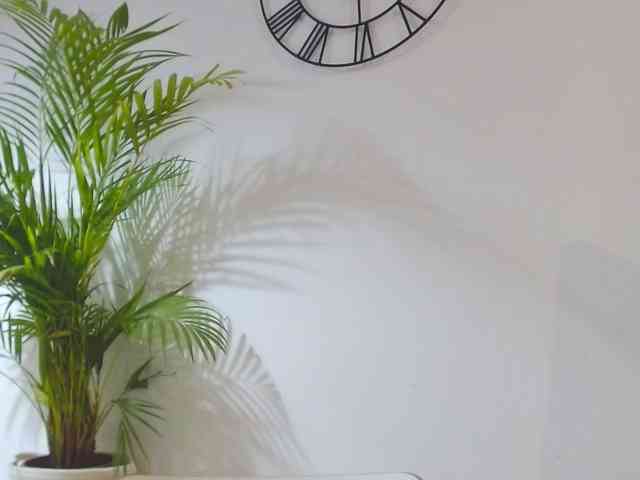 SecretAlicia Live Webcam on {site_name}