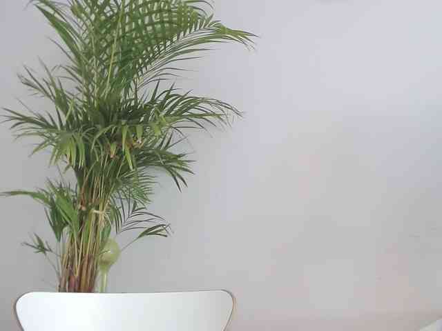 SecretAlicia SecretAlicia