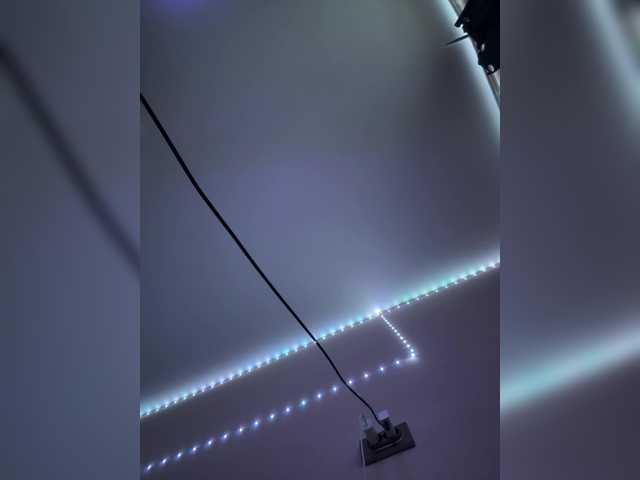 BichPussy52's BongaCams show and profile