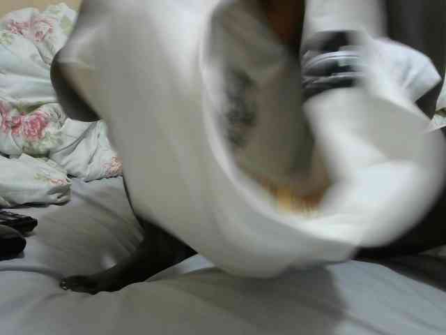 lush-ness webcam