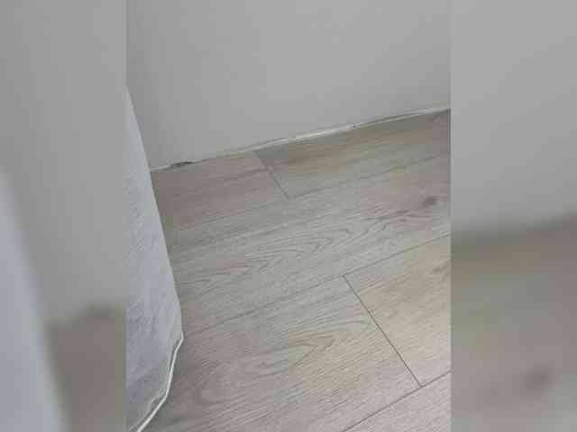 pussy-Katea webcam