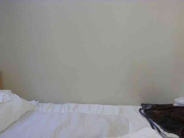 latexshantie webcam