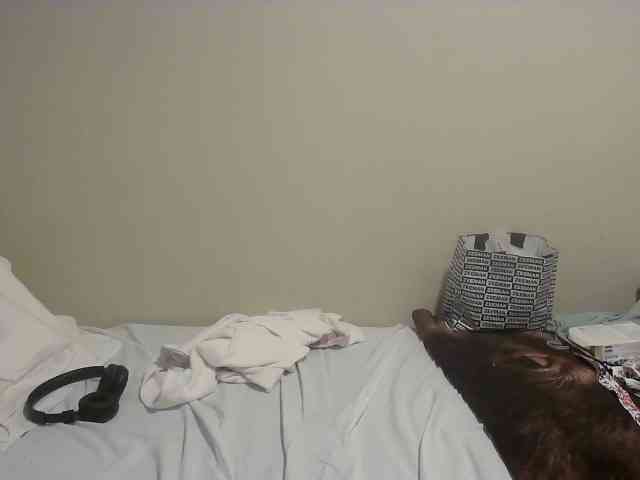 latexshantie webcam