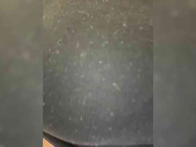 FariDro4ka webcam