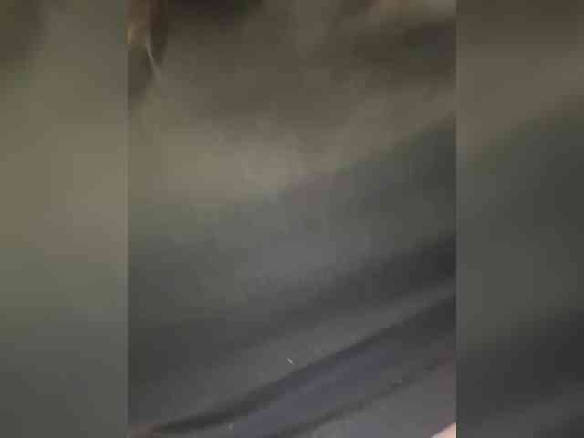 nude live web cam Fari1206