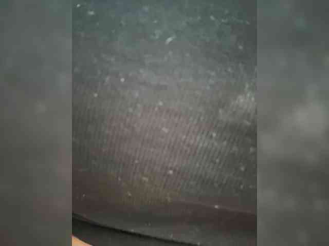 FariDro4ka webcam