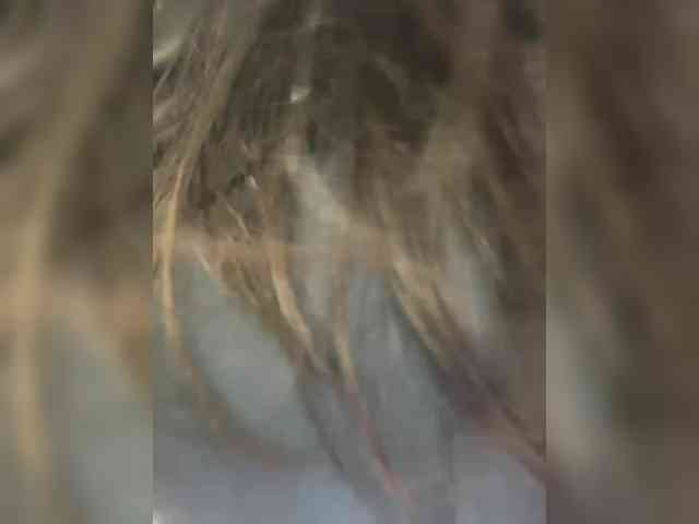 Farido4ka webcam