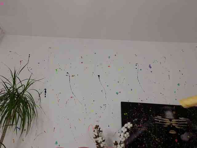 Sonia-esd webcam