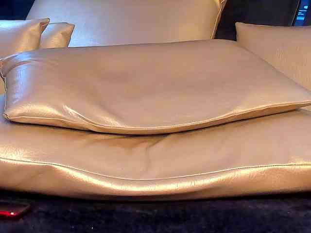 GreicherVega webcam