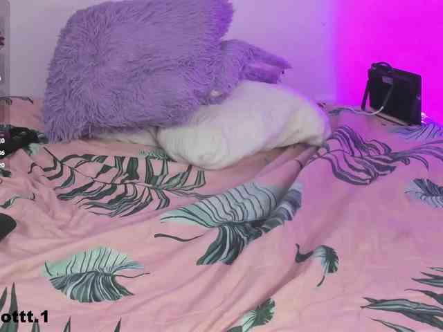 charlotte-250 webcam