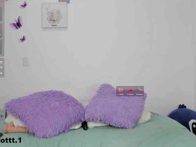 charlotte-250 webcam