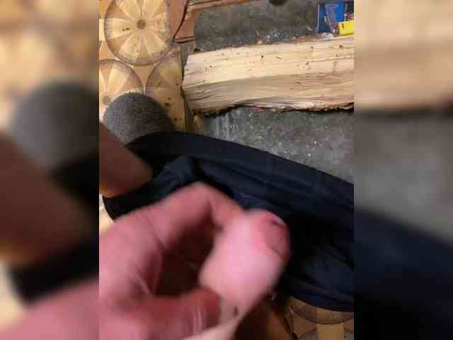 Dragon-sex-1 Dragon-sex-1