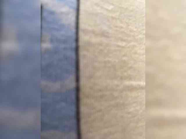 Dragon-sex-1 Dragon-sex-1