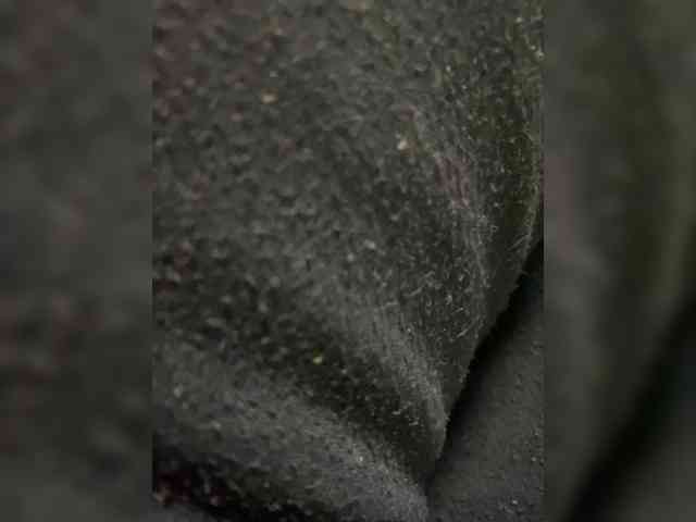 Dragon-sex-1 Dragon-sex-1