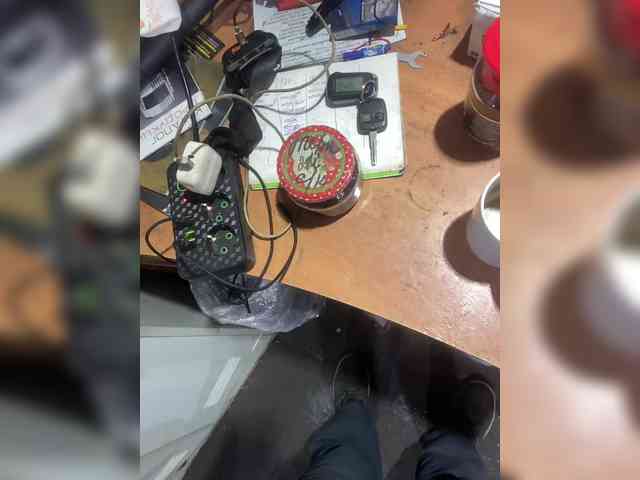 Dragon-sex-1 Dragon-sex-1