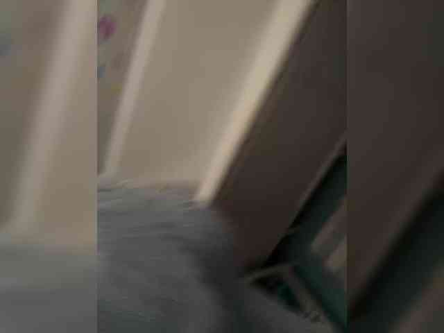 Dragon-sex-1 Dragon-sex-1