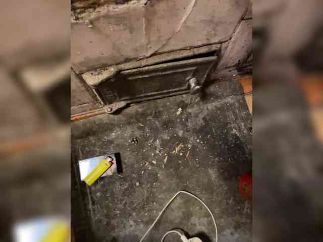 Dragon-sex-1 Dragon-sex-1