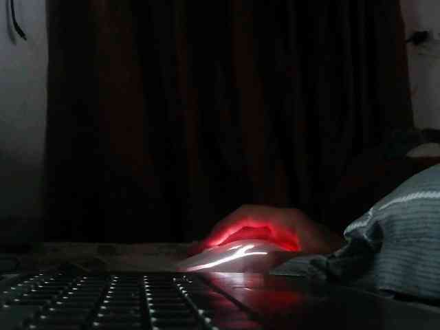 Yanhnhi webcam