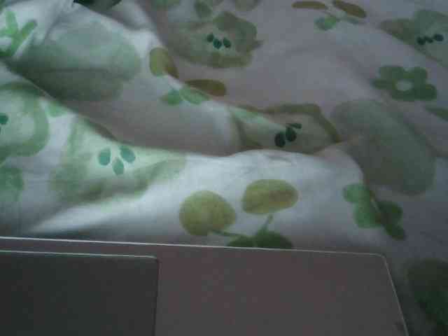 Yanhnhi webcam