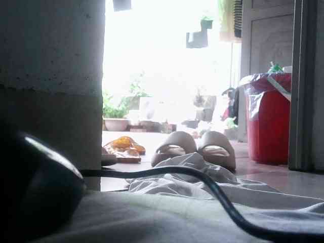 Yanhnhi webcam