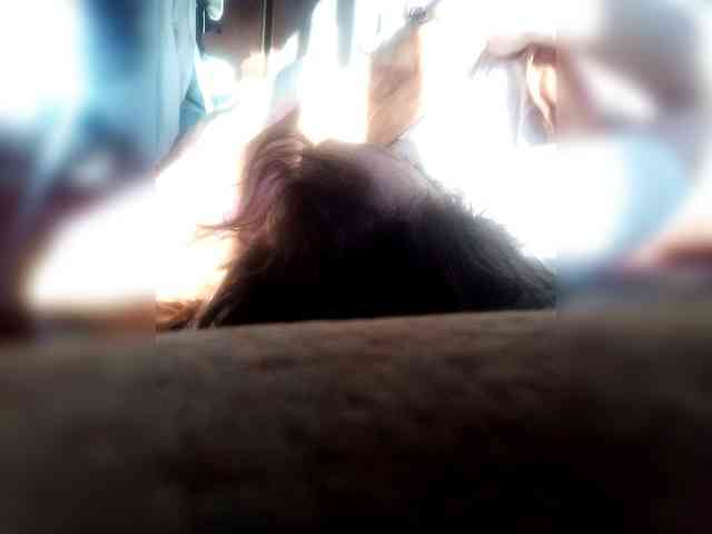 Paladin111 Paladin111