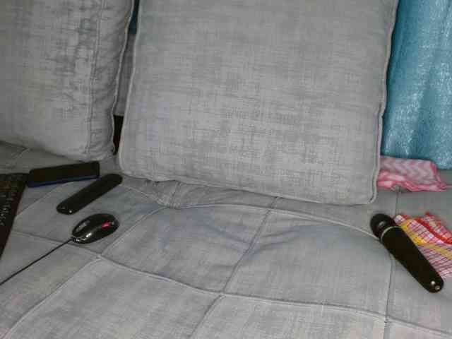 Queen04_ webcam