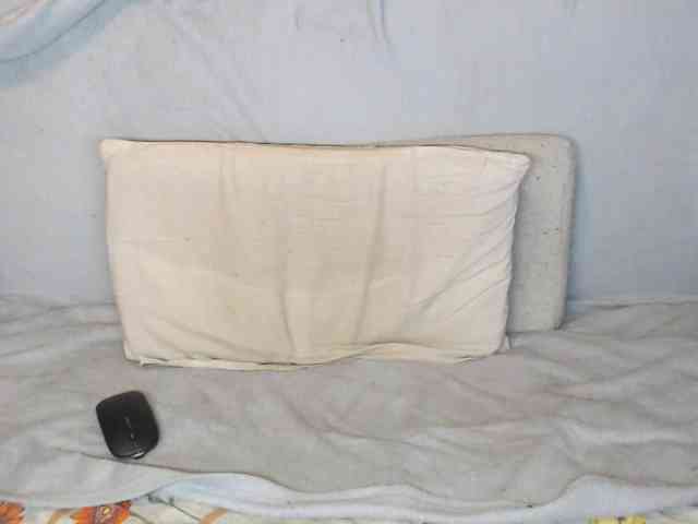 michael-danymans michael-danymans