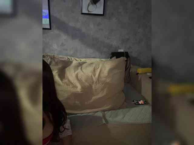 praesertim webcam