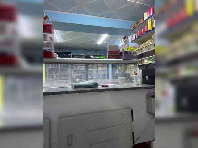 praesertim webcam