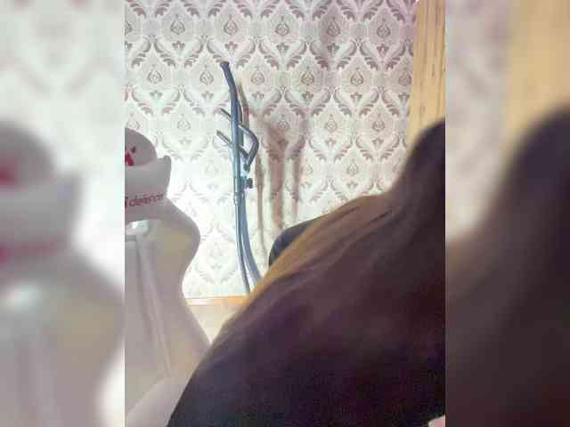 A-----------YA webcam