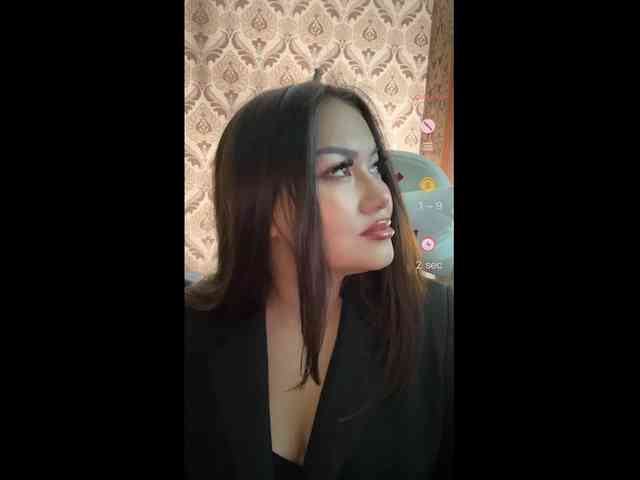 A-----------YA webcam