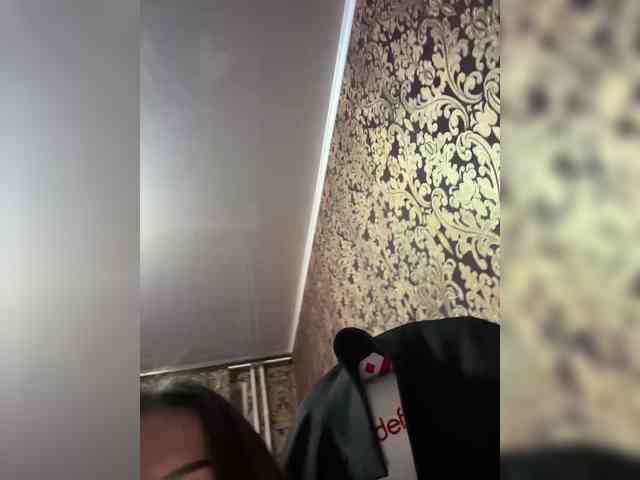 praesertim webcam