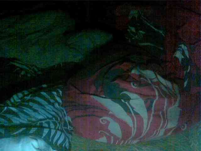 KrystaAhlMagic webcam